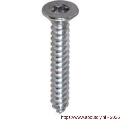 ASF plaatschroef DIN 7982C-T 4.2x22 mm Torx T 25 RVS A2 - A40823413 - afbeelding 1