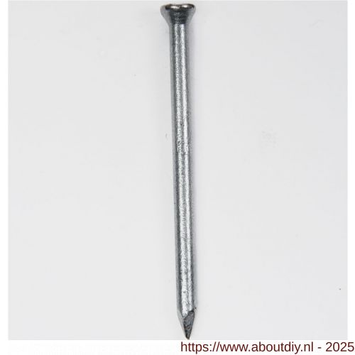 HJZ nagel 2.0x20 mm plat-conisch kop verzinkt - A40870269 - afbeelding 1