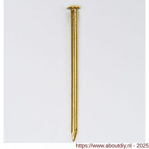 HJZ Profi nagel 1.8x30 mm bombe kop messing - A40870023 - afbeelding 1