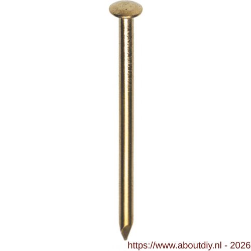 HJZ nagel 0.9x13 mm bombe kop messing 1 kg - A40870028 - afbeelding 1