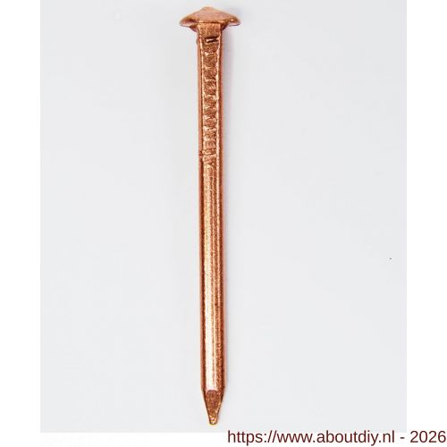 HJZ bootnagel vierkant schacht 3.0x50 mm vierslags kop pyramide rood 1 kg - A40870002 - afbeelding 1