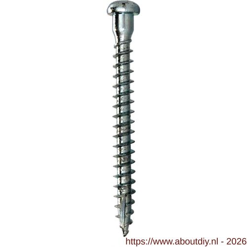 Woodies Ultimate ankerschroef 5.0x35/29 mm cilinderkop Torx T 20 verzinkt - A40800173 - afbeelding 1