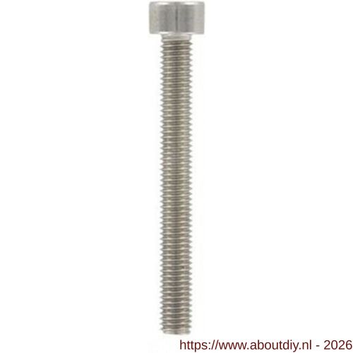 ASF binnenzeskantbout DIN 912 M16x160 mm RVS A4 - A40818342 - afbeelding 1