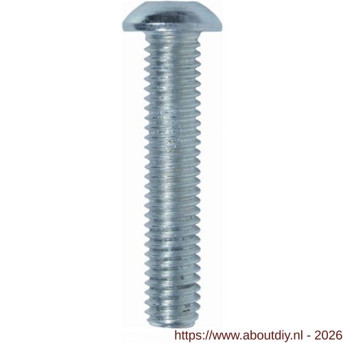 ASF laagbolkopschroef ISO7380-1 M5x14 mm RVS A4 - A40816308 - afbeelding 1