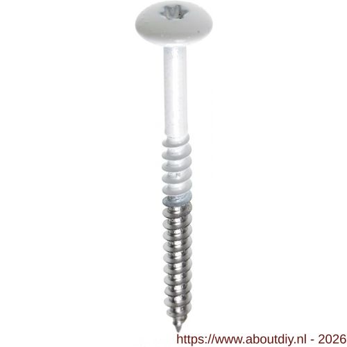 Fisinox kleurkopschroef 4,8x25 mm Torx TX 20 RVS A2 AISI 304 Plastica 065 ivoor - A40883060 - afbeelding 1