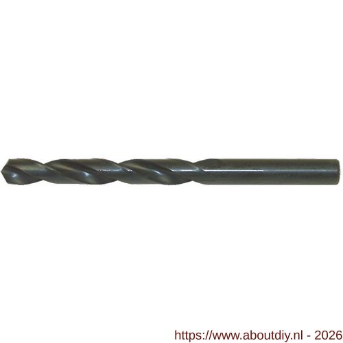 Labor AI000013 spiraal metaalboor DIN 338 HSS-R rolgewalst 1/4x63/101 mm set 10 stuks - A50300320 - afbeelding 1