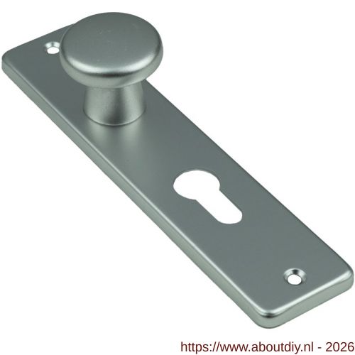 Ami 165/4 RH knopkortschild aluminium rondhoek knop 160/40 vast kortschild 165/4 RH profielcilinder PC 55 F2 - A10900710 - afbeelding 1