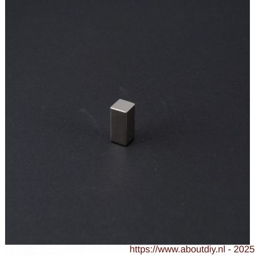 Didheya Kube meubelknop 410 diameter 15x25 mm inox - A11201024 - afbeelding 1