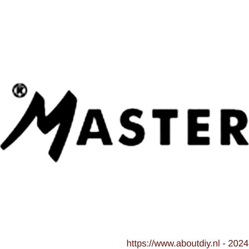 Logo Master Silver